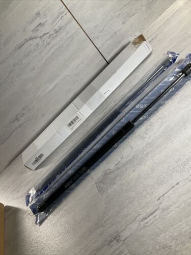 2Pcs Rear Glass Window Strut Lift Support Shock | BXC300004209-2 (6922805346487)